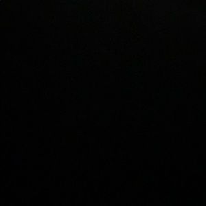 Meet your Posher, Kiesha